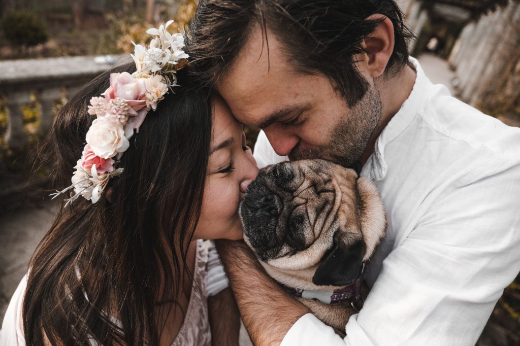 A couple kissing their pug, posing for family portrait photography.